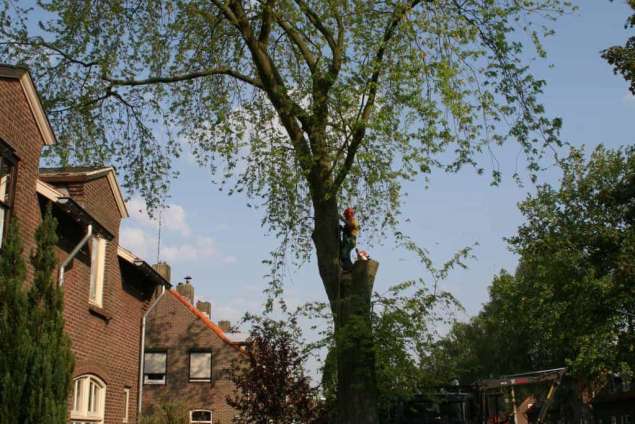 bomen rooien hovenier Heelsum Heelweg Heerde Heiveld Helhoek Hell Hellouw Hemmen Hengelo Henxel Hernen Herwen Herwijnen Heteren